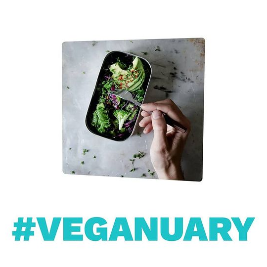 Veganuary – Essen ist politisch!